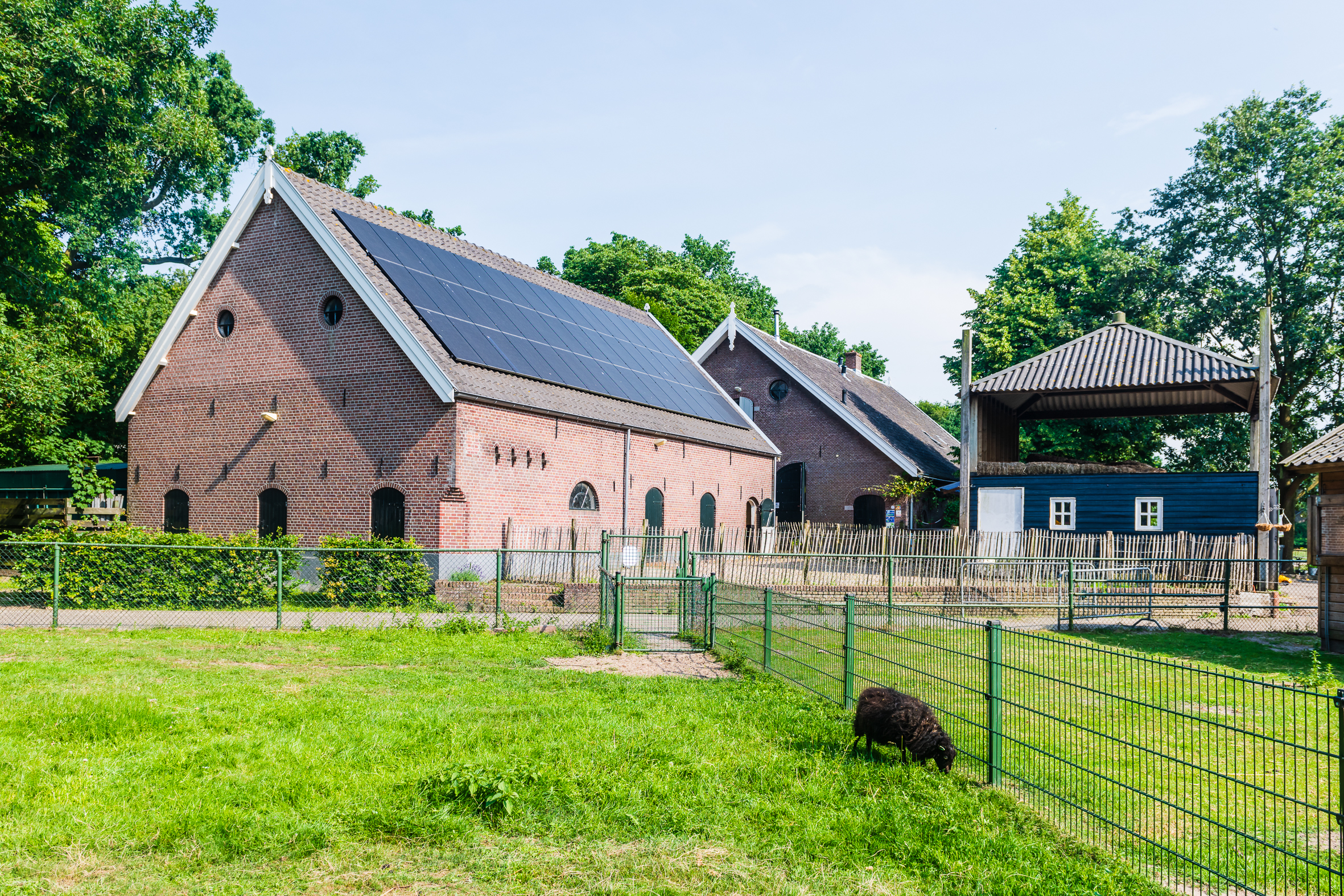 Kinderboerderij de Brink in Zeist
