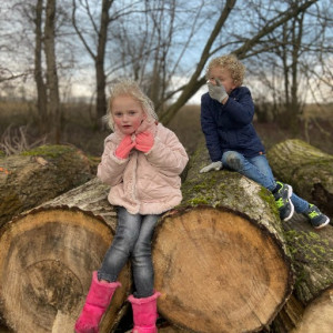Review Warda in Almere
